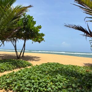 WhatsApp Image 2025-06-11 at 20.59.42 (1)