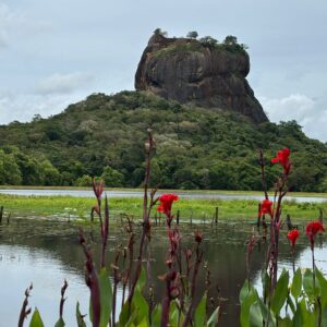 WhatsApp Image 2025-06-11 at 20.59.45 (1)